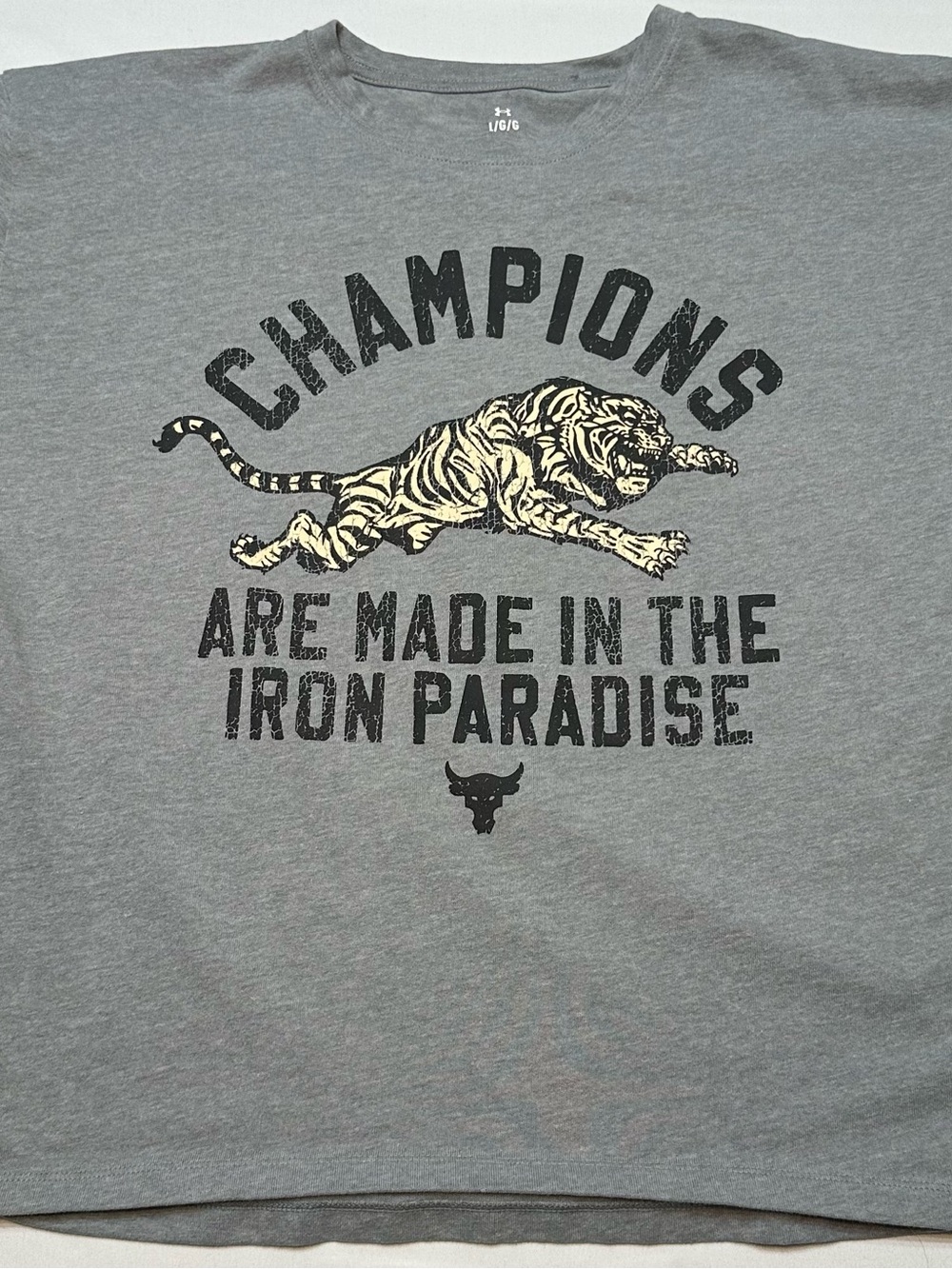 Under Armour Project Rock Iron Heavyweight T-Shirt Grey Women's Size Large L